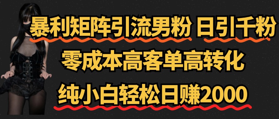 暴利矩阵引流男粉（日引千粉），零成本高客单高转化，纯小白轻松日赚2000+-互创学社