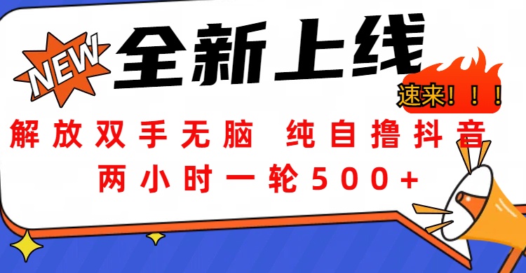 解放双手无脑 纯自撸抖音 两小时一轮500+-互创学社
